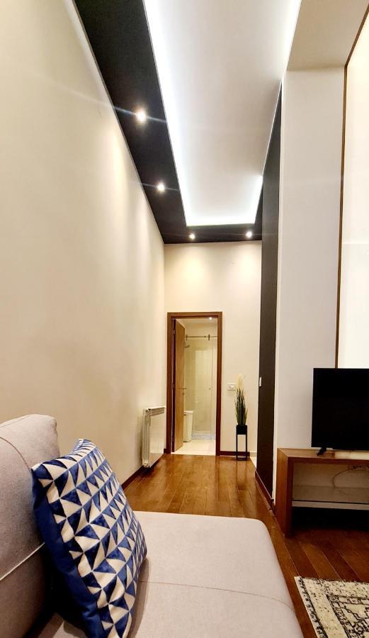 בלגרד Lux Apartment In City Center מראה חיצוני תמונה