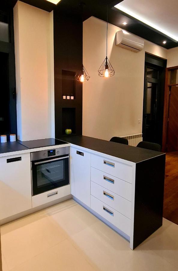 בלגרד Lux Apartment In City Center מראה חיצוני תמונה